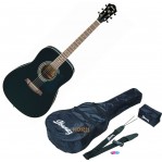 Ibanez V 50NJP pack