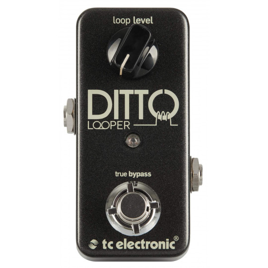 TC ELECTRONIC Ditto Looper