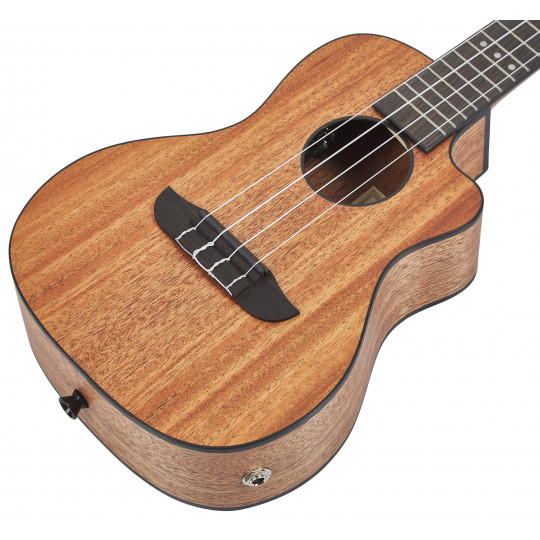 Ortega RUHZ-CE-MM