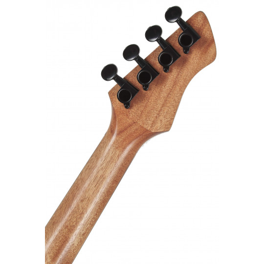 Ortega RUHZ-CE-MM