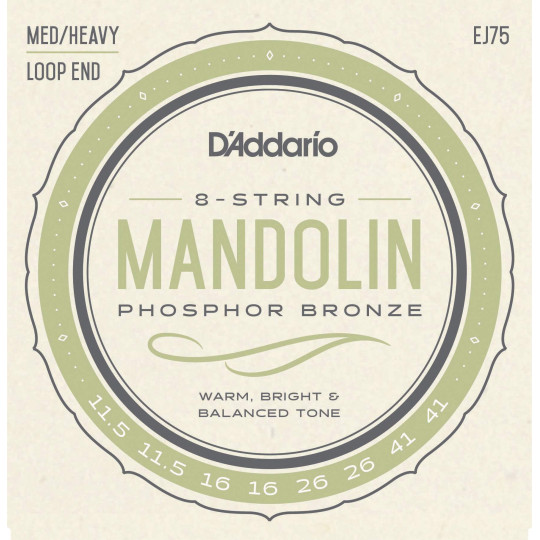 D'Addario EJ75