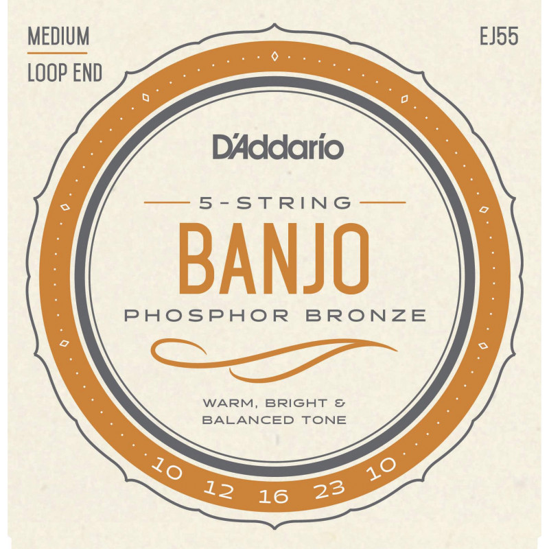 D'Addario EJ55