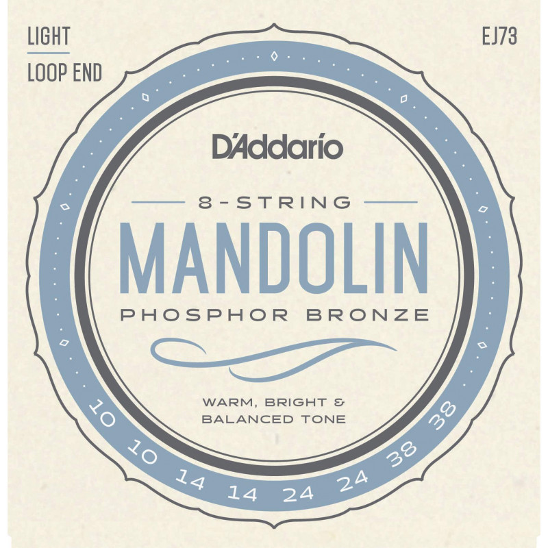 D'Addario EJ73