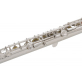 C. Cantabile FL-100 příčná flétna