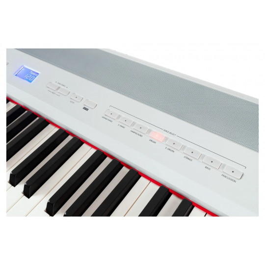 Steinmayer P-60 WM