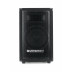 DJ a party reprobox; 300W.