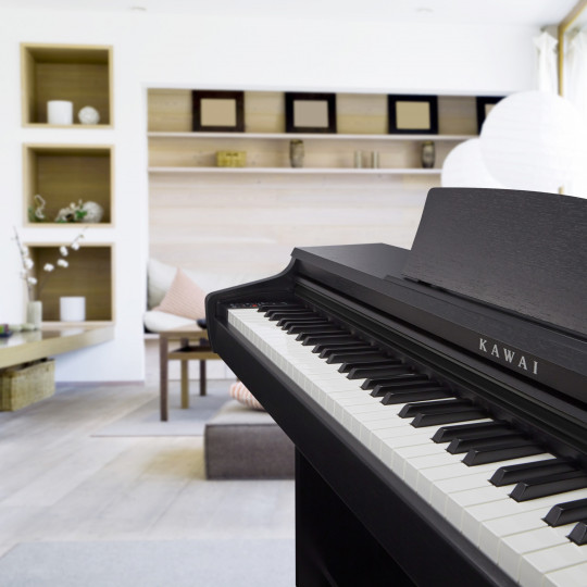 Kawai KDP120 B