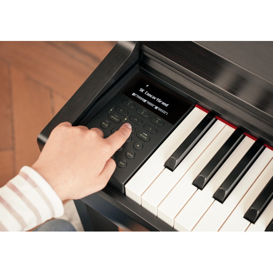 Kawai CN301 B