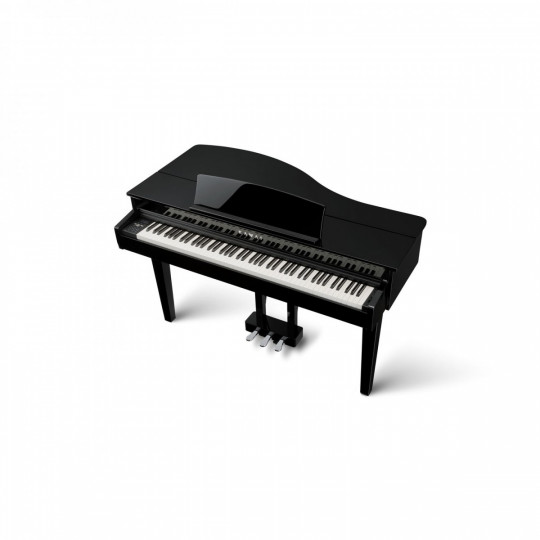 Kawai DG30