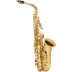 Alt saxofon vyrobený z mosazi. Velmi lehká, rychlá odezva činí z tohoto saxofonu ideální volbou pro začátečníky. Nástroj je kompletně lakovaný. Hmotnost 2,4 kg. Dodáváno včetně pouzdra.