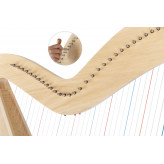 Proline K-36 keltská harfa