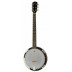 Šestistrunné banjo.