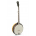 Pětistrunné banjo včetně pevného pouzdra.