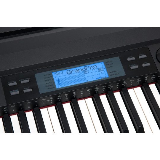 C. Cantabile SP-250 BK Stagepiano
