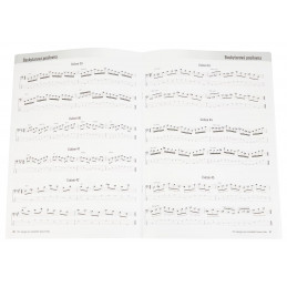 BASKYTAROVÁ POSILOVNA 101 arpeggií pro melodické basové linky