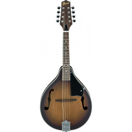Ibanez M510-OVS