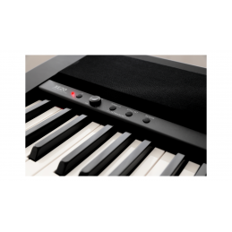 Korg XE20