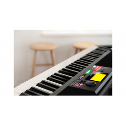 Korg XE20SP