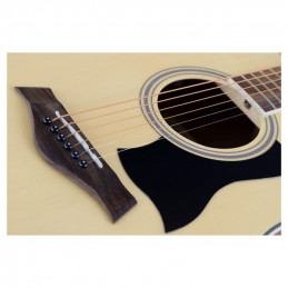 Classic Cantabile Electro-acoustic Set