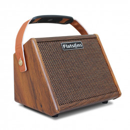 Classic Cantabile Electro-acoustic Set