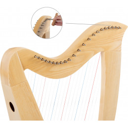 Classic Cantabile H-22LG AW