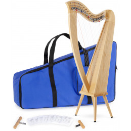 Classic Cantabile H-22LG AW