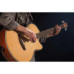 Classic Cantabile ABJ4-50CE-NT