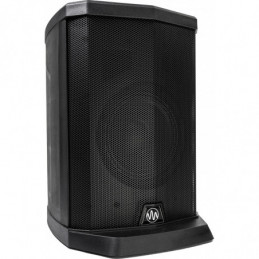Gemini WPX-2000