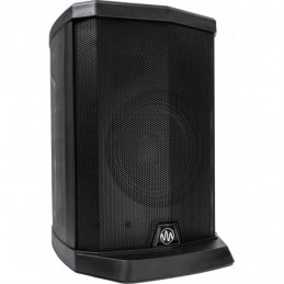Gemini WPX-2000TOGO