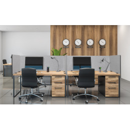 Proline DiviDesk-1507560 GY
