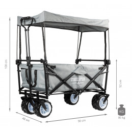 Proline BW-907D GY