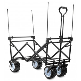 Proline BW-907D GY