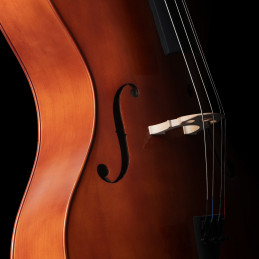 Classic Cantabile CP-200 4/4 Antique Cello Set