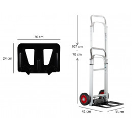 Proline CBF-100
