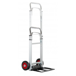 Proline CBF-100