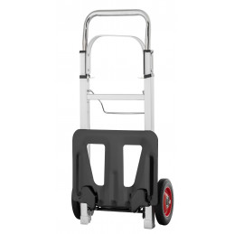 Proline CBF-100