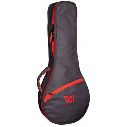 TGI 4338 Transit Mandolin Flatback