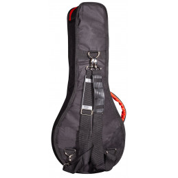 TGI 4338 Transit Mandolin Flatback