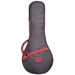 TGI 4338 Transit Mandolin Flatback