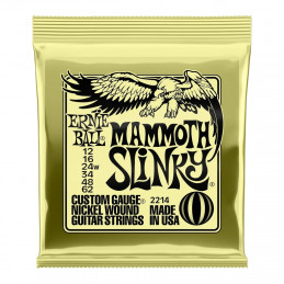 Ernie Ball 2214