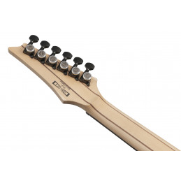 Ibanez RGA21P1PB-DRL