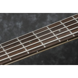 Ibanez BTB745-NTL