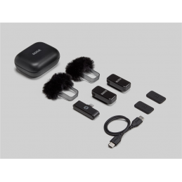 RODE Wireless Micro (Lightning, Black)