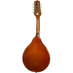 Barnes & Mullins BM600