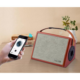 Flanger Ammoon AC-25