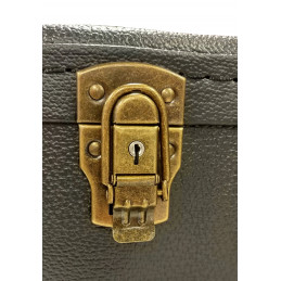 Pouzdro pro slim kytaru Ashton APCSL