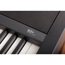 Korg B2+ SPBK