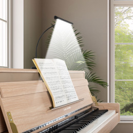 Proline 12120WW SM Stmívatelná LED lampa Černá