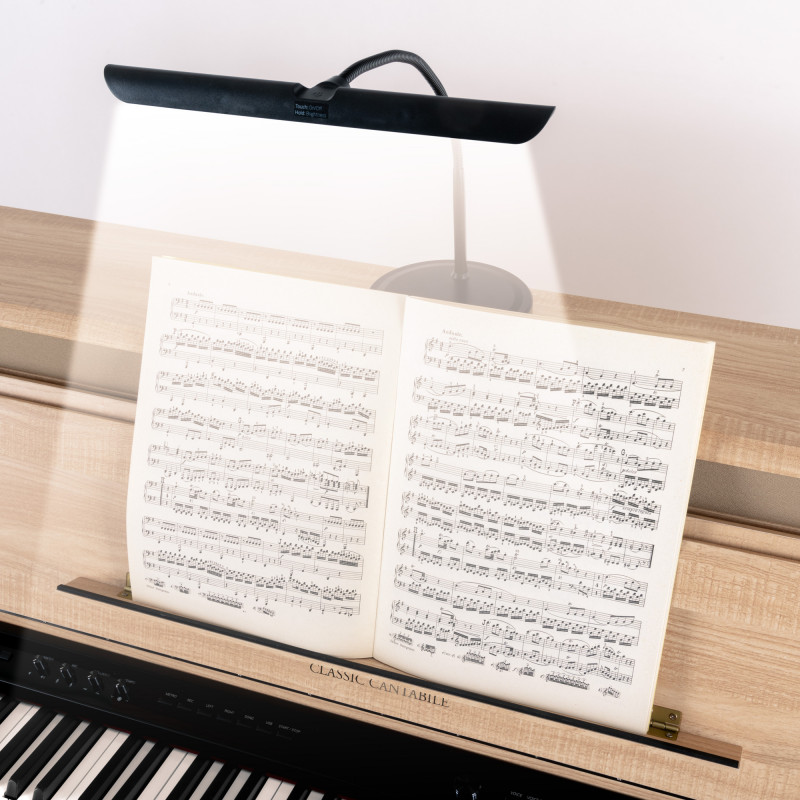 Proline 12120WW SM Stmívatelná LED lampa Černá