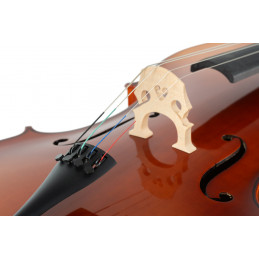 Proline Cello set 4/4 Student